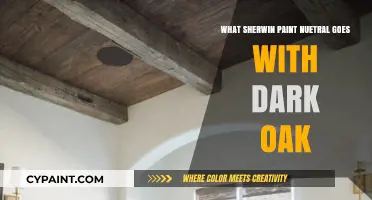 Best Sherwin-Williams Neutral Paint Colors to Complement Dark Oak