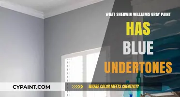 Discover Sherwin Williams Gray Paints with Subtle Blue Undertones