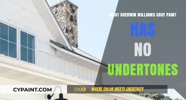 Pure Gray Perfection: Sherwin-Williams Paint Without Undertones Revealed