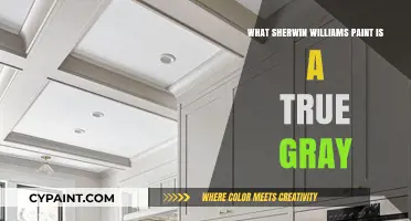 Discover Sherwin Williams' Perfect True Gray Paint for Your Home