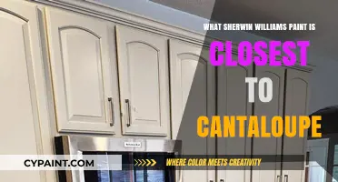 Find the Perfect Match: Sherwin-Williams Paint Closest to Cantaloupe
