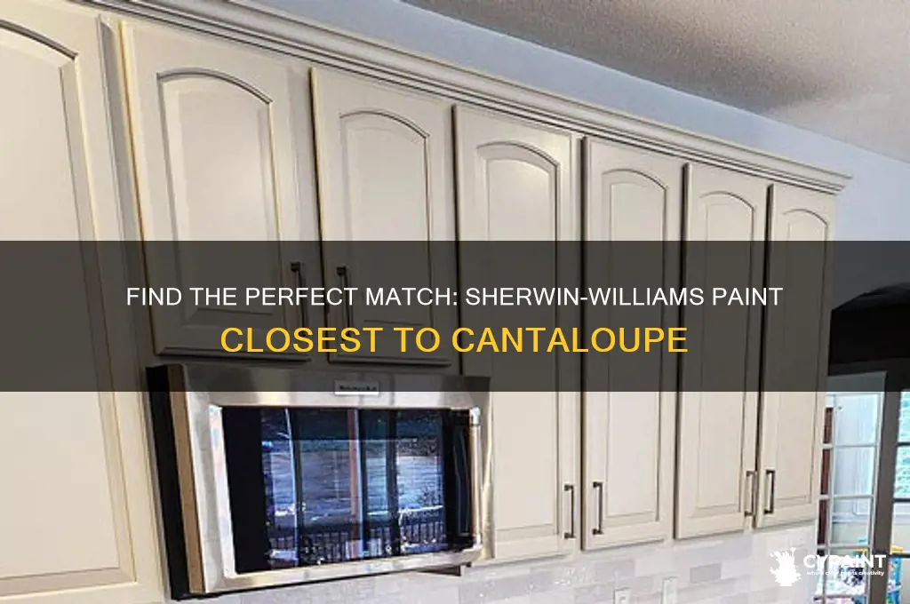 what sherwin williams paint is closest to cantaloupe