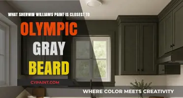 Finding the Perfect Match: Sherwin-Williams Paint Closest to Olympic Gray Beard