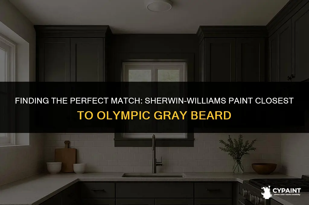 what sherwin williams paint is closest to olympic gray beard