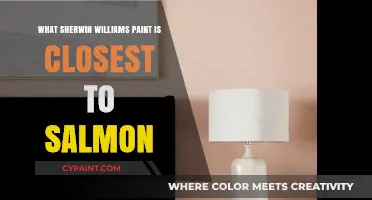 Find the Perfect Match: Sherwin-Williams Paint Closest to Salmon