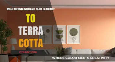 Explore Sherwin Williams' Terracotta Paint Alternatives