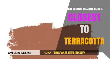 Sherwin-Williams Paint Colors Closest to Terracotta: Top Picks