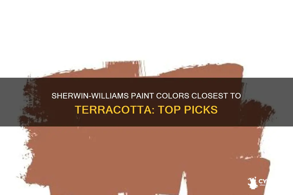 what sherwin williams paint is closest to terracotta