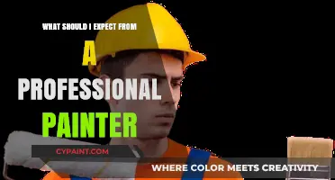 What to Expect from a Professional Painter: Expertise, Quality, and Process