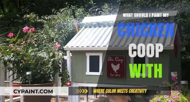Best Paint Options for a Durable and Stylish Chicken Coop