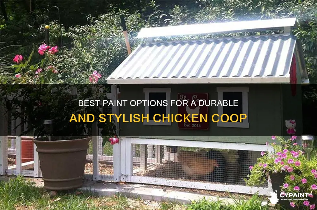 what should i paint my chicken coop with