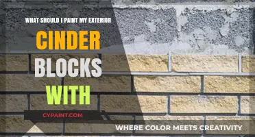 Exterior Cinder Block Paint Ideas and Tips