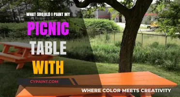 Best Picnic Table Paint Ideas: Durable, Stylish, and Weather-Resistant Options