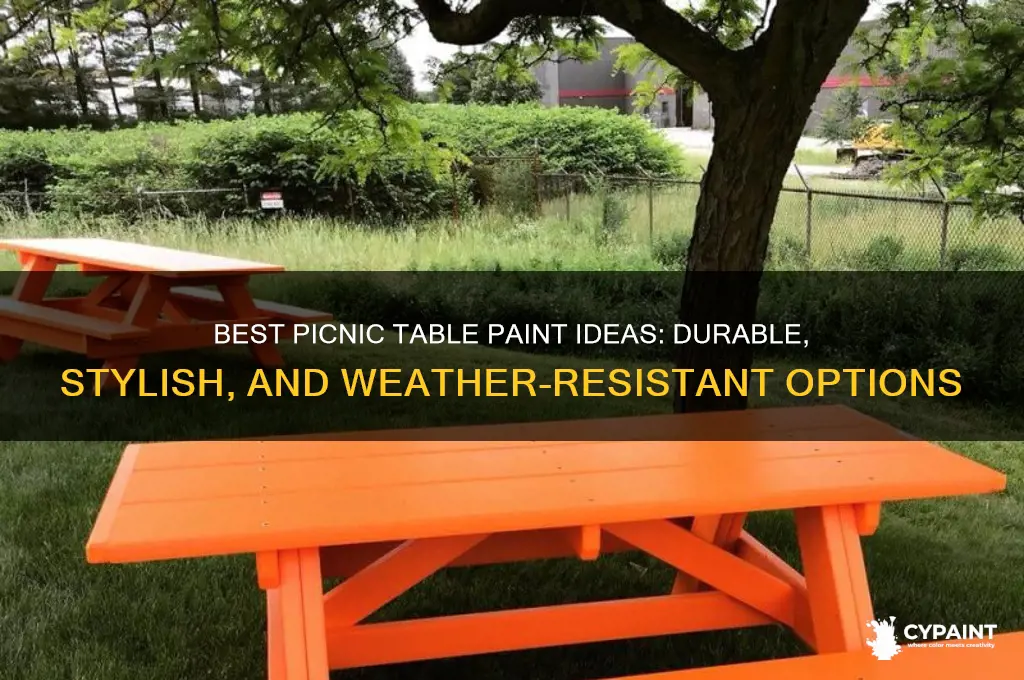 what should i paint my picnic table with