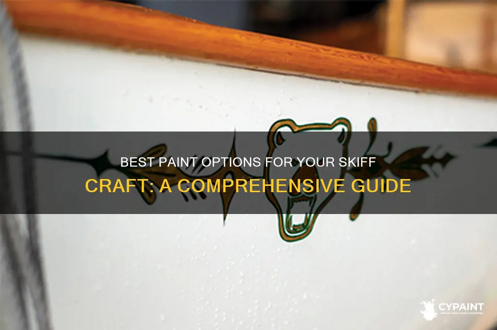 what should i paint my skiff craft with