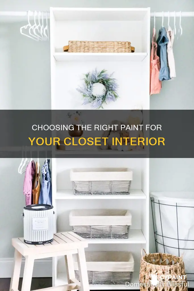 what should i paint the inside of closet with