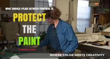Safeguarding Art: Optimal Materials to Shield Paintings from Damage