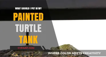 The Ultimate Turtle Tank Setup Guide