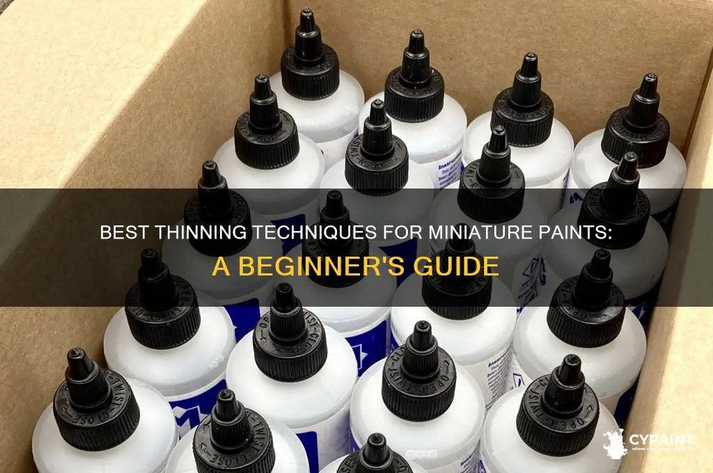 what should i thin my miniature paints with