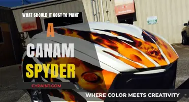 Cost to Paint a Can-Am Spyder: How Much?