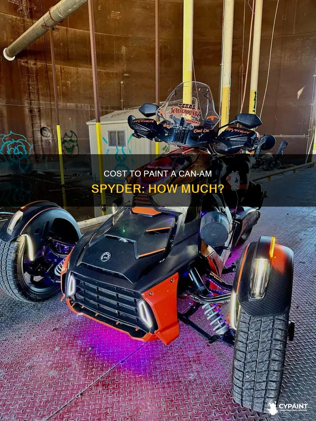 what should it cost to paint a canam spyder