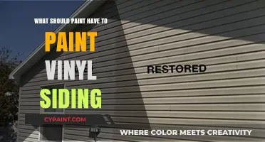 Best Paint for Vinyl Siding: Tips, Tools, and Techniques for Success