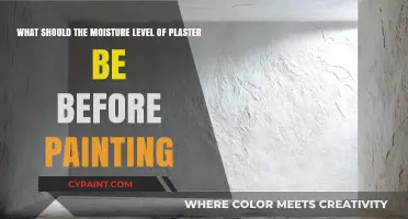 Optimal Moisture Levels for Plaster Before Painting: A Comprehensive Guide