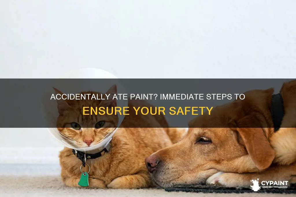 what should you do if you eat paint