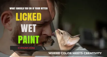 Kitten's Paint Lick: Quick Tips for Concerned Owners