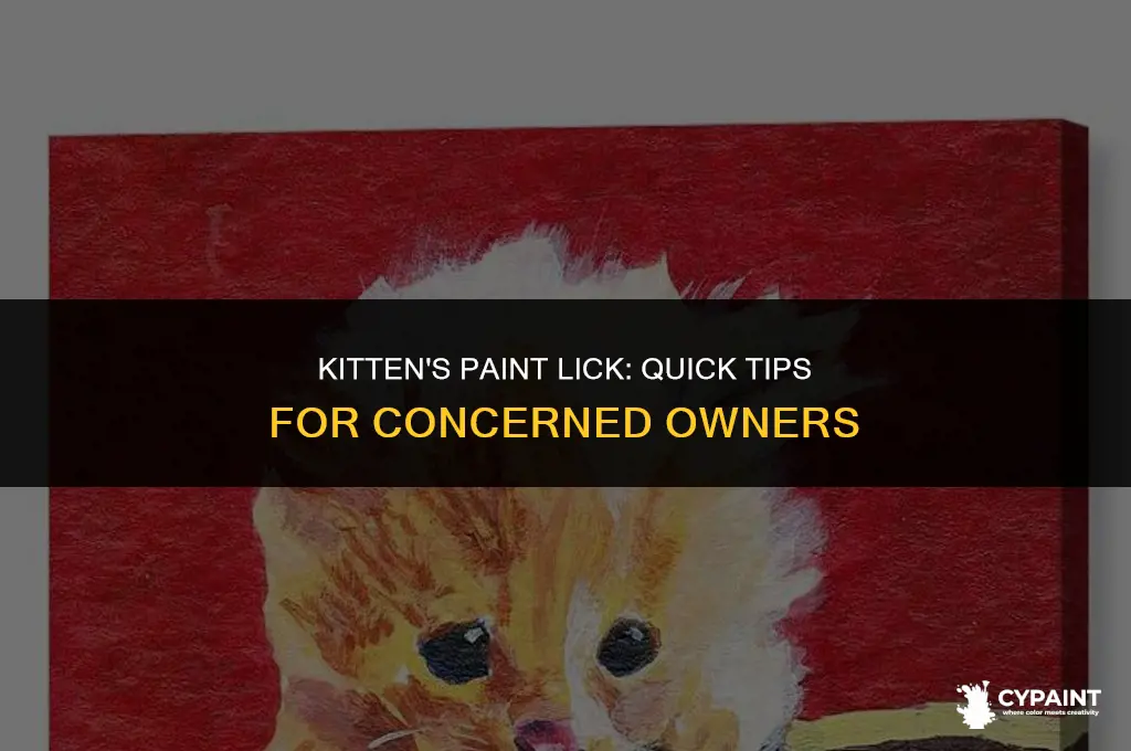 what should you do if your kitten licked wet paint