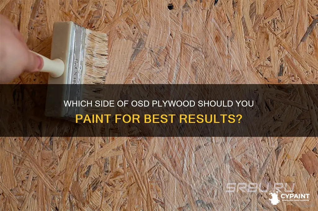 what side of osd plywood do you paint