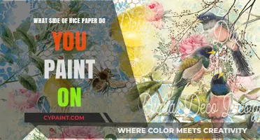 Rice Paper Painting: Which Side to Choose?