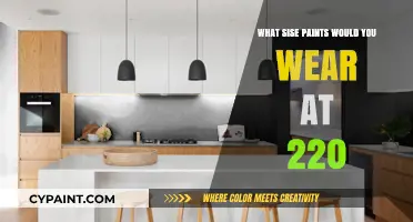 Choosing the Right Paint Size for Your 220-Pound Frame