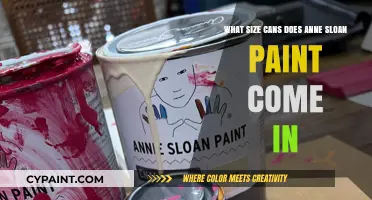 Anne Sloan Paint: Can Sizes and Uses