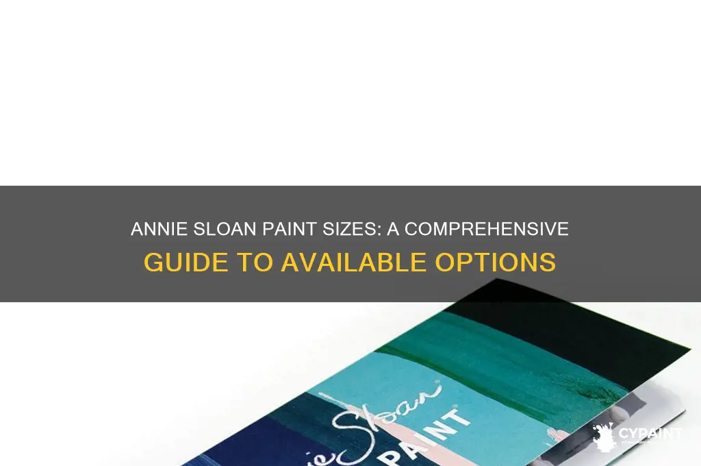 what size does annie sloan paint come in