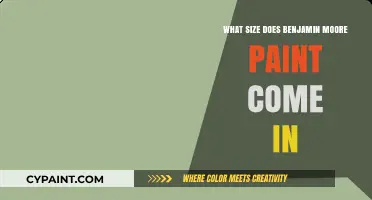 Benjamin Moore Paint Sizes: A Comprehensive Guide to Available Options