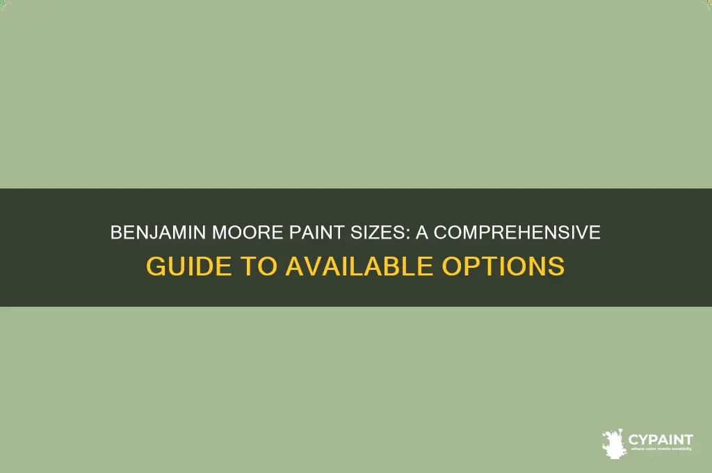 what size does benjamin moore paint come in