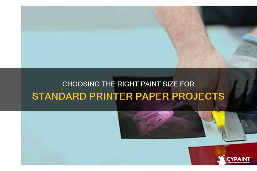 what size in paint for standard printer paper
