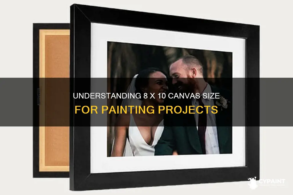 what size is 8 x 10 in paint