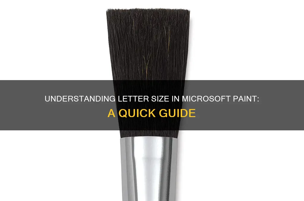 what size is a letter on microscoft paint