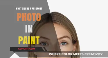 How to Resize Passport Photos in Paint: A Step-by-Step Guide