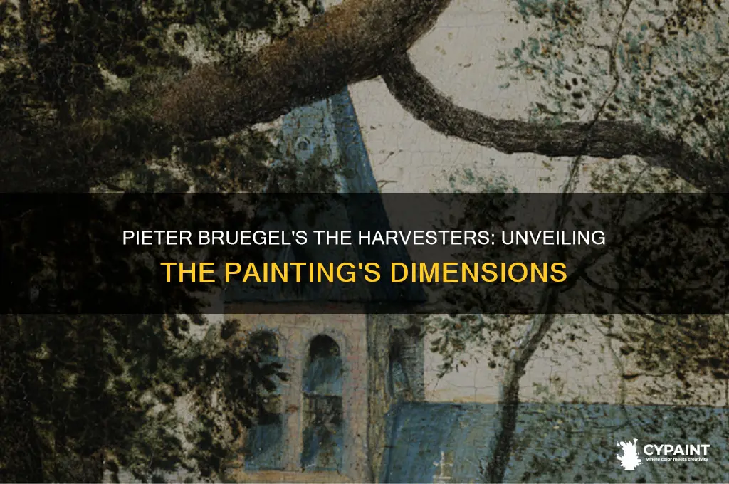 what size is pieter brueghel painting the harvesters