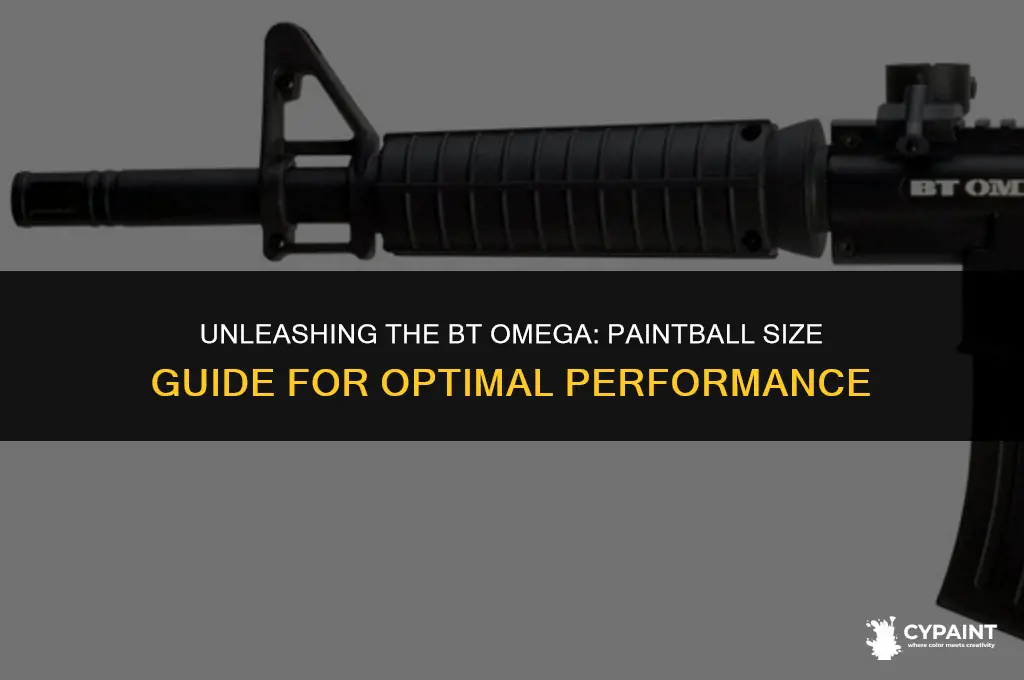 what size of paint balls does a bt omega take