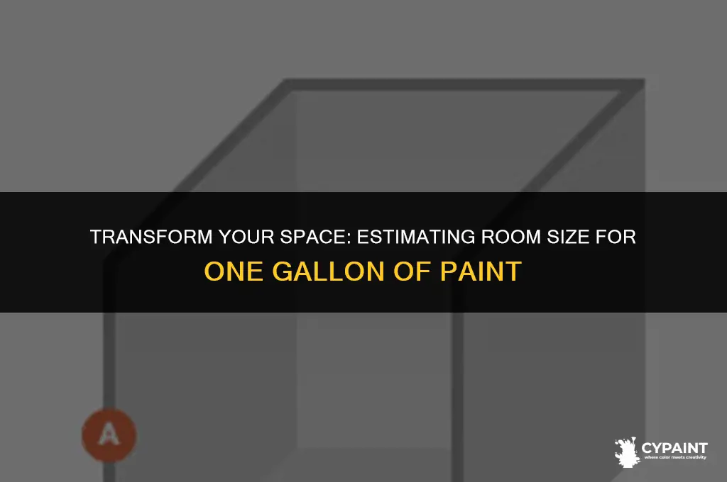 what size of room can one gallon of paint do
