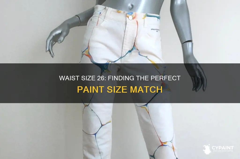 what size paints are a waiste size 26