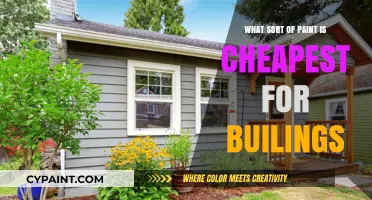 Affordable Building Paint Options: Cost-Effective Choices for Exterior Walls