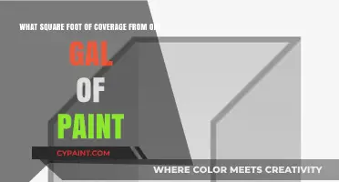 Maximizing Your Paint: Understanding Coverage and Efficiency