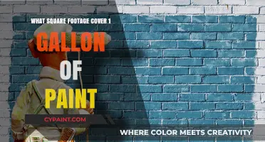 How Much Area Does One Gallon of Paint Cover?