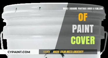 Gallon of Paint: How Much Area Does It Cover?