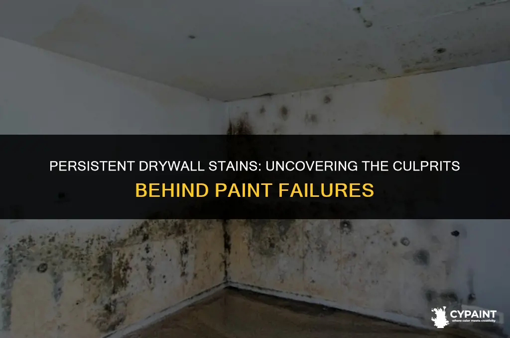 what stains are on dryway that keep coming through paint